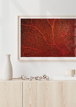 Πορτοκαλί κοράλλι