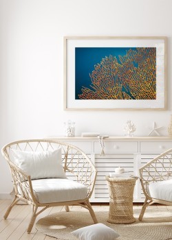 Κίτρινο κοράλλι