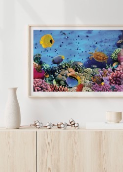 Πολύχρωμη θαλάσσια ζωή