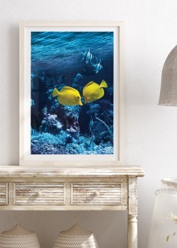 Κίτρινα τροπικά ψάρια