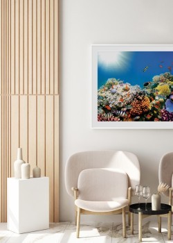 Πολύχρωμος βυθός