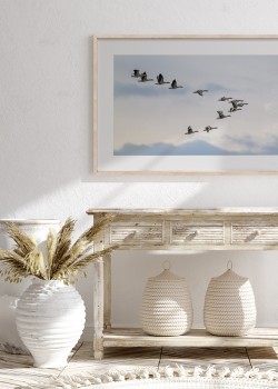 Χήνες στον ουρανό