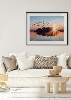 Πουλιά πάνω από τη λίμνη