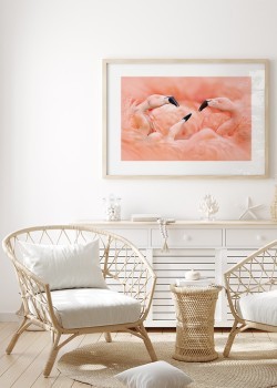 Ροζ φλαμίνγκο