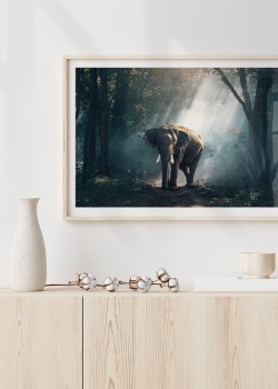 Ελέφαντας στη ζούγκλα