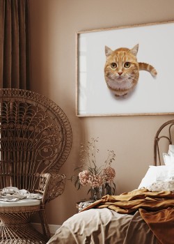 Καφέ γατούλα