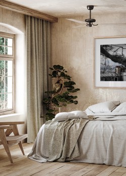 Περιστέρια στο Παρίσι