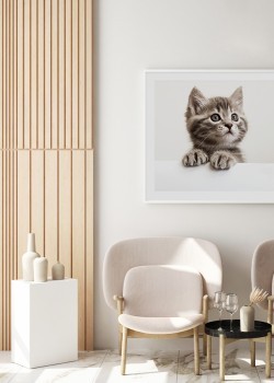 Χαριτωμένο γατάκι