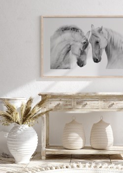 Λευκά άλογα