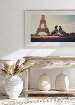 Ερωτευμένα περιστέρια στο Παρίσι