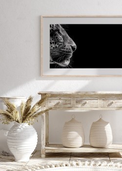 Προφίλ λεοπάρδαλης