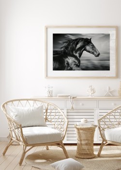 Άλογο που καλπάζει