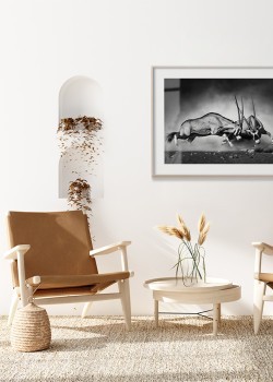 Αντιλόπες που μάχονται