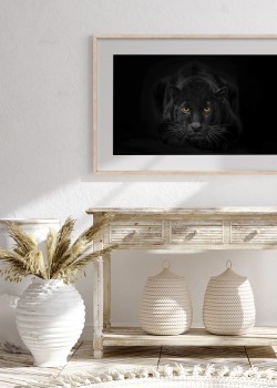 Ξαπλωμένος μαύρος πάνθηρας