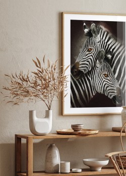 Αγαπημένες ζέβρες