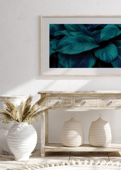 Γαλαζοπράσινα φύλλα