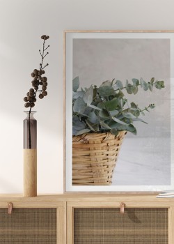 Μπουκέτο ευκαλύπτου