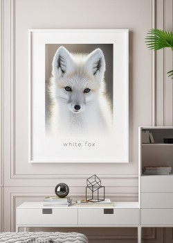 White fox