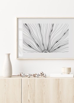 Line Medusa