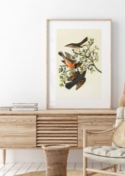 Birds on a Branch