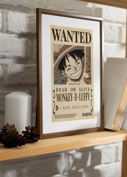 Monkey D. Luffy Pirate