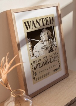 Swordsman Roronoa Zoro