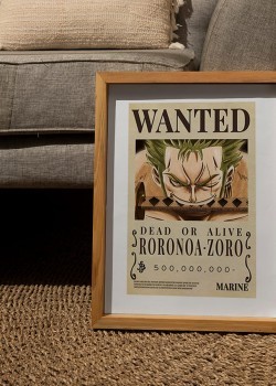 Samurai Roronoa Zoro