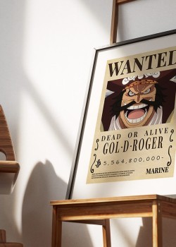 Pirate Gol D. Roger