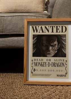 Monkey D. Dragon