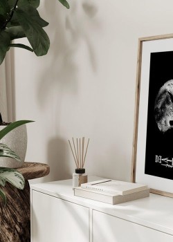 Black and White Ryuk Death Note