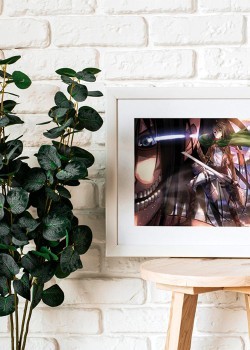 Mikasa Attack on Titan