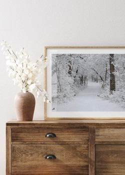 Χιονισμένο Δάσος