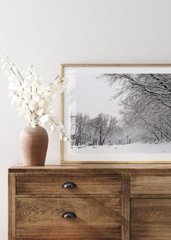 Snowy Landscape