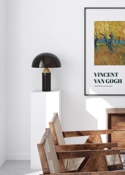 Pollard Willows and Setting Sun