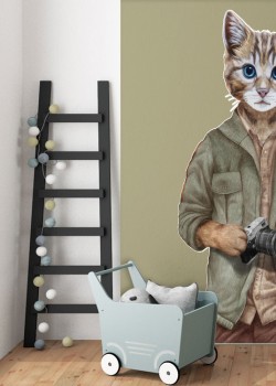 Γάτα φωτογράφος