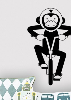 Μαϊμουδάκι με ποδήλατο