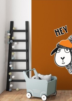 Προβατάκι με σκουφί