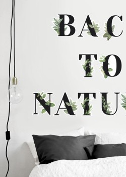 Επιστροφή στη φύση