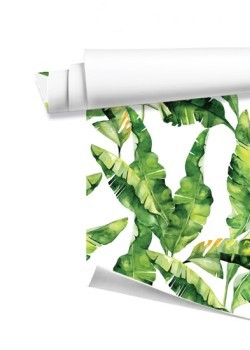 Φοινικόφυλλα