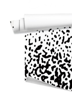 Ασπρόμαυρο μοτίβο